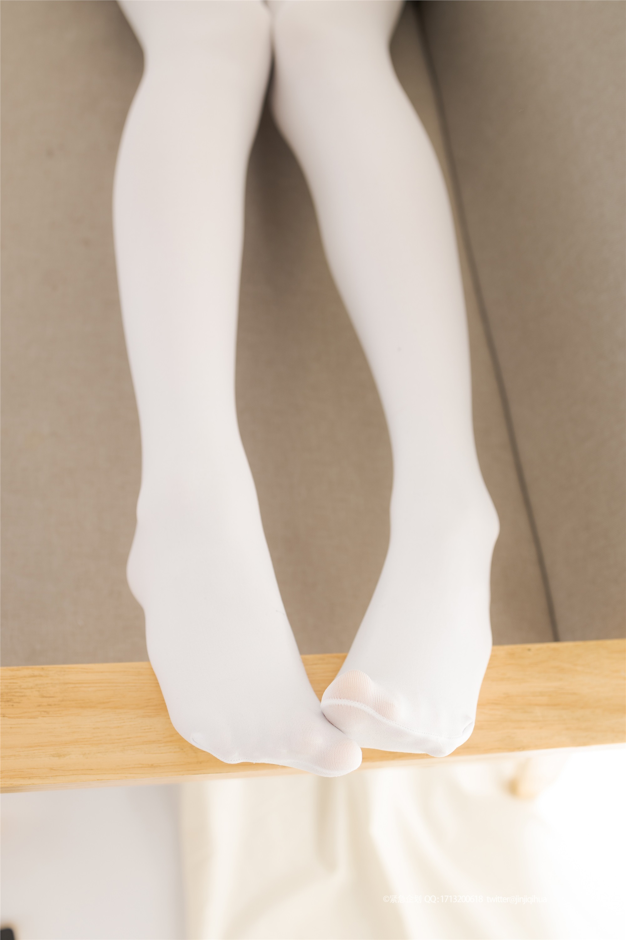 紧急企划  NO.012 一只喵喵梓